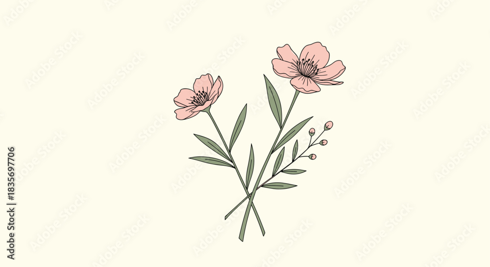 Fototapeta premium Simple and elegant illustration of two delicate pink flowers with green stems and leaves isolated on a light cream background.