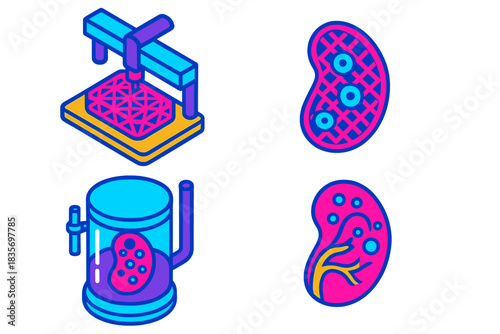 Lab Organ Growth Stages. Isometric vector illustration set Lab-Grown Organ Stages: Printed scaffold frame, seeded cell structure,