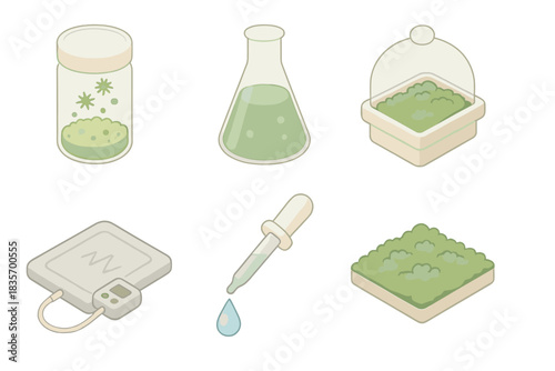 Moss Cultivation Process Icons. Isometric vector illustration set of moss cultivation process: moss spores container, nutrient mix