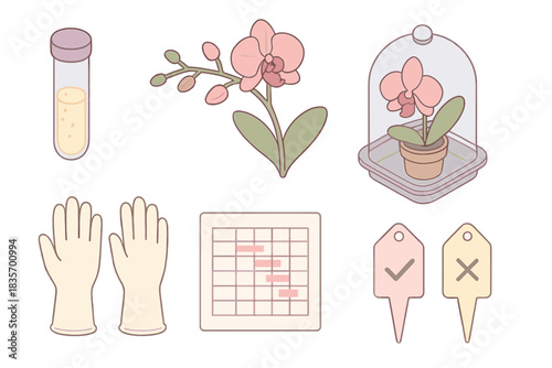 Orchid Pollination Techniques. Isometric vector illustration set Rare orchid pollination techniques: orchid pollen storage vial,