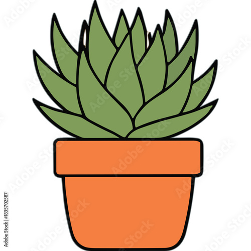A Close Up Of A Green Succulent Plant In A Terracotta Pot Isolated On A White Background Detailed Illustration With Clean Lines And Minimalist Design