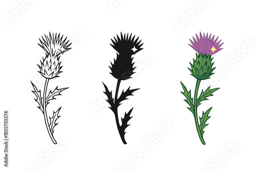 Artistic Thistle Variations. Thistle stalk, scattering down, sunlight glint, first in line style with thin outline, second in