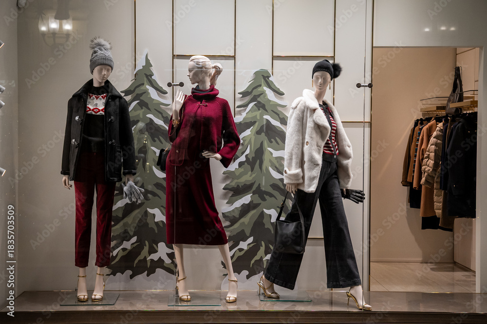 Fotografie Fashionable Mannequins Displaying Winter Outfits