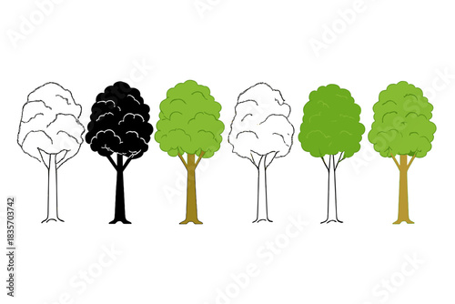 Minimalist Beech Trees. Row of tall beech masts with dense leafy canopy, simple minimalist vector illustration, first in line