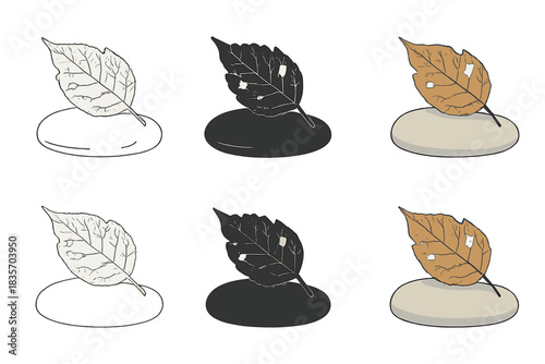 Leaf on Stone. Faded leaf resting on smooth stone, balance between decay and stillness, natural serenity in minimal form, first in