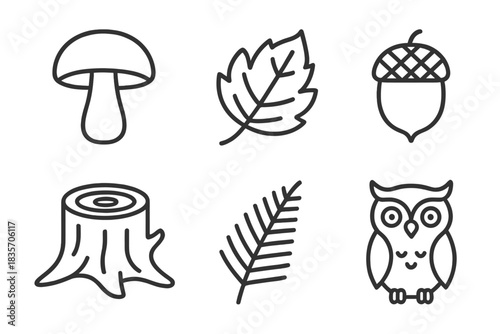 Forest Elements Icons. Line style icons of Forest Elements: mushroom, fallen leaf, acorn, tree stump, fern, owl. No text, No