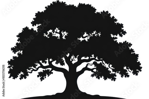 tree silhouette vector 

