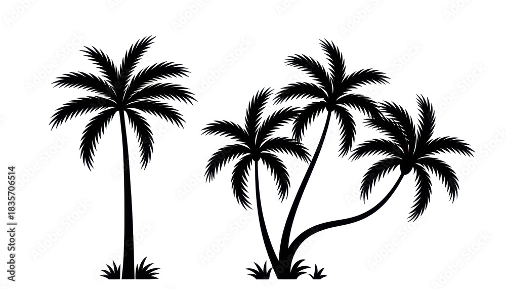Fototapeta premium silhouette of palm trees