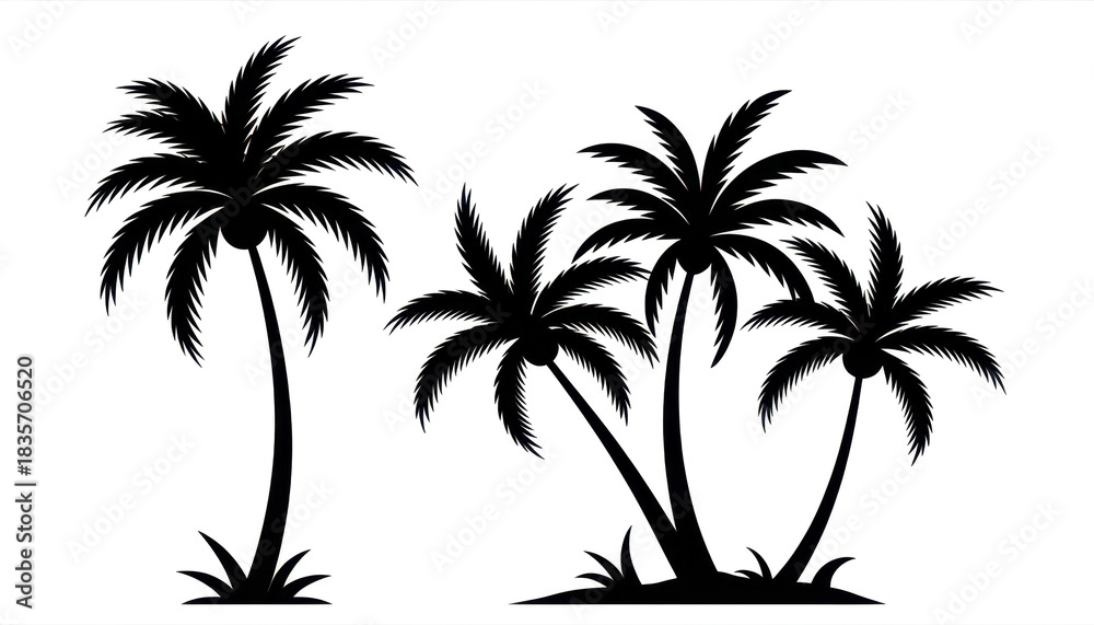 Fototapeta premium silhouette of palm trees 