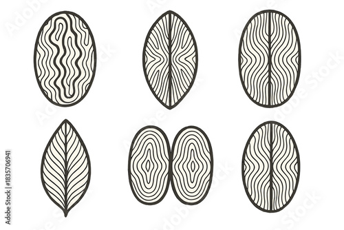 Organic Woodcut Patterns. Icons for: copied plant vessel woodcuts showing organic channels, mirrored xylem patterns carved in