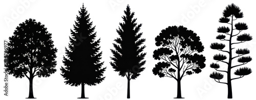 Realistic trees in black and white color, nature park silhouette icons. Different trees and shrubs of coniferous and deciduous forest with grass meadows. png on transparent background
