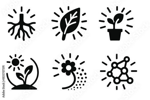 Radiant Ecosystem Icons. Solid style icons of radiant ecosystems: shining root artery, luminous leaf vein, glowing plant flow,