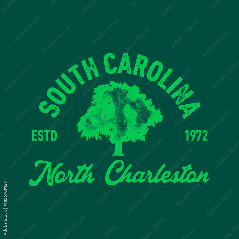 Fototapeta premium T-shirt stamp graphic, South Carolina Sport wear typography emblem North Charleston vintage tee print, athletic apparel design shirt graphic print