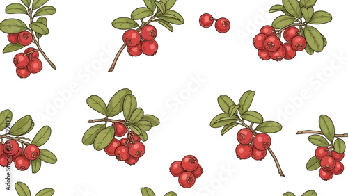 Lingonberry pattern illustration showcasing vibrant red berries and lush green leaves