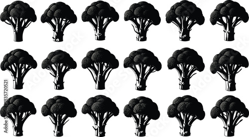 Broccoli vegetable illustration grid, black and white food sketch, healthy organic produce icon, nutrition pattern design, detailed botanical drawing