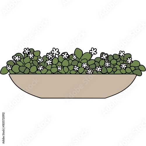A Tan Ceramic Planter Filled With Lush Green Plants and Delicate White Flowers Against a Black Background