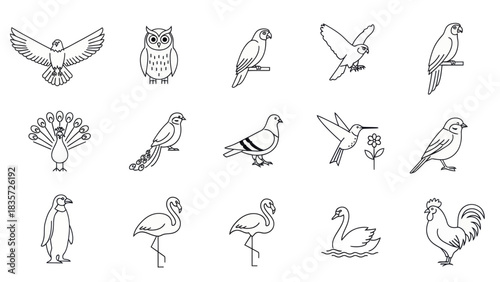 Diverse avian species in minimalist outline design illustration for creative endeavors