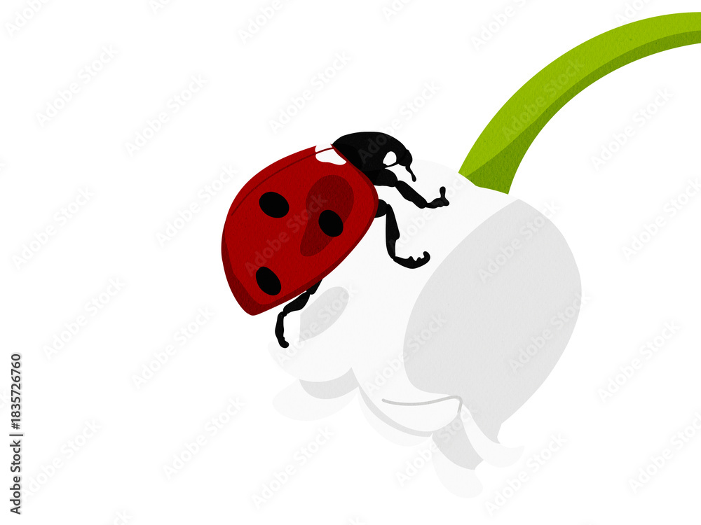 Obraz premium ladybug on a white background