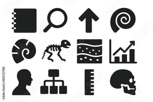 Solid Style Icon Set. Solid style icons of documenting and analyzing assemblages: notebook, magnifying glass, arrow, spiral,