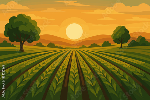 Golden Countryside Fields. Expansive vector illustration countryside field with rows of crops glowing under a golden sunset,