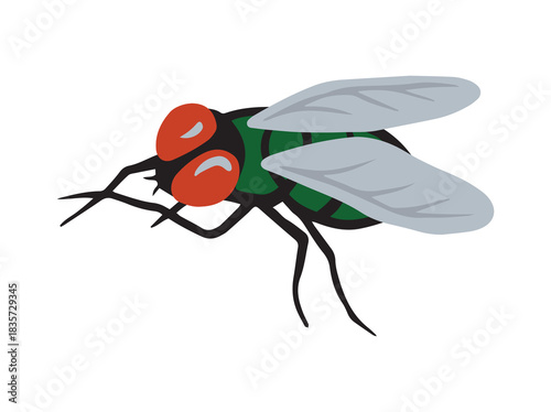 Green Blowfly Insect Animal Illustration
