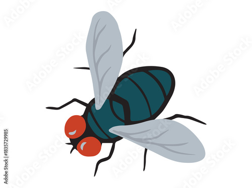 Blue Blowfly Insect Animal Illustration
