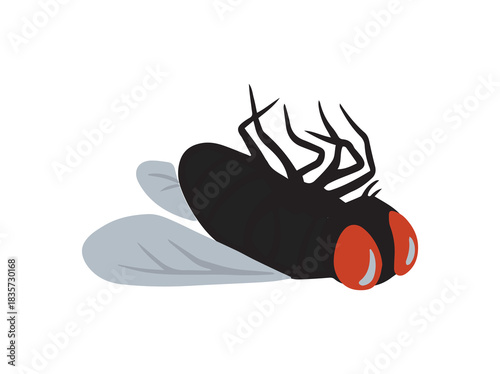 Black Blowfly Insect Animal Illustration
