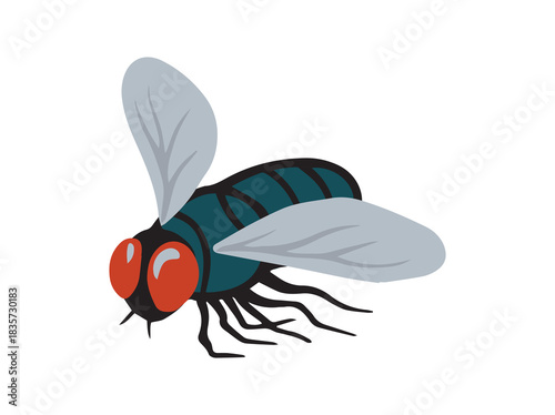Blue Blowfly Insect Animal Illustration

