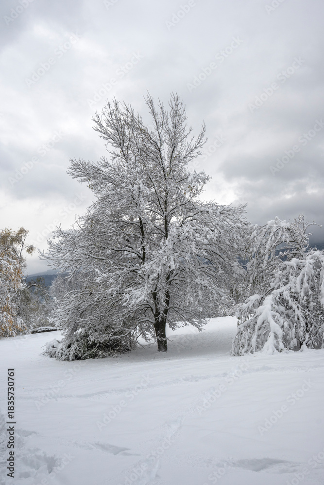 Obraz premium Winter Landscape of South Park in city of Sofia, Bulgaria