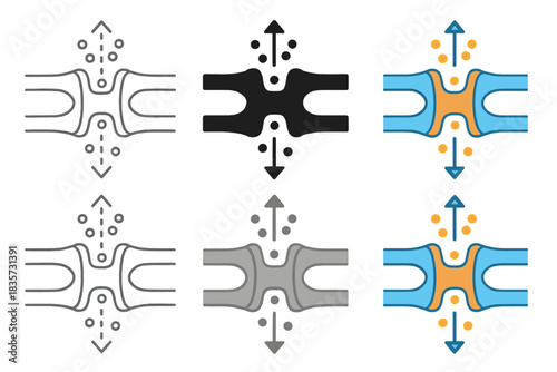 Nuclear Pore Structural Styles. Sectional view showing nuclear pore anchored between double membranes, emphasizing structure and