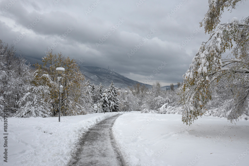 Obraz premium Winter Landscape of South Park in city of Sofia, Bulgaria