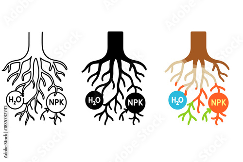 Nature's Underground Network. Tree roots, fungal hyphae, nutrient exchange, first in line style with thin outline, second in solid