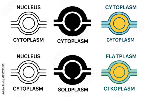 Nuclear Envelope Cross-Section. Cross-section of nuclear envelope showing circular pore structure connecting nucleus and cytoplasm