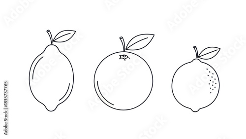 Minimalist outline illustration of citrus fruits showcasing a lemon, orange, and lime for
