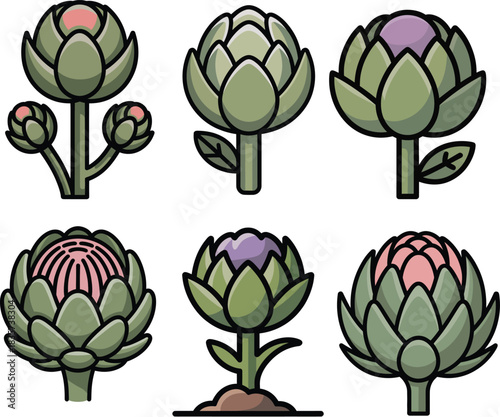 Artichoke flower buds in various stages of bloom colorful set