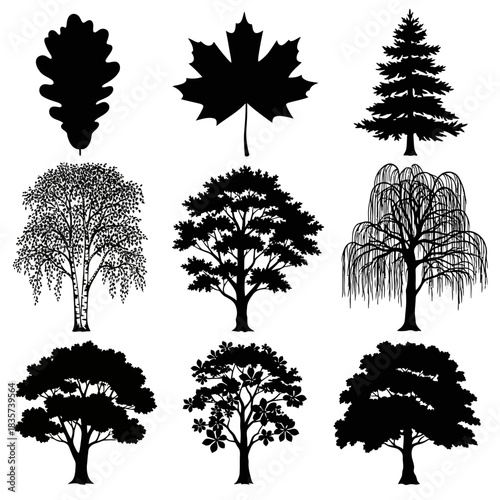 Diverse arboreal silhouette collection exhibiting variety of tree species