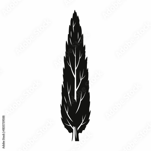 Elegant Cypress Tree Silhouette Isolated on White Background Artistic Design