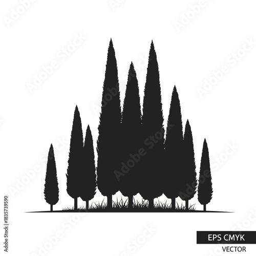 Elegant monochrome silhouette of cypress trees forming a nature scene landscape