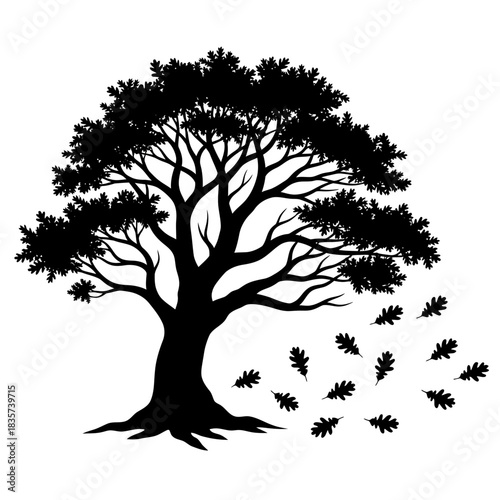 Silhouette of a deciduous tree with leaves falling in autumn season