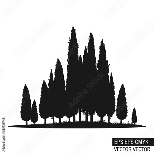 Silhouetted Cypresses Stand Tall Against a Pure White Expanse of Sky