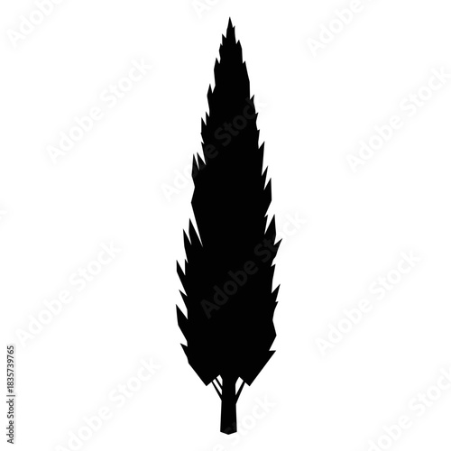 Symmetrical silhouette of an isolated conifer tree against white background