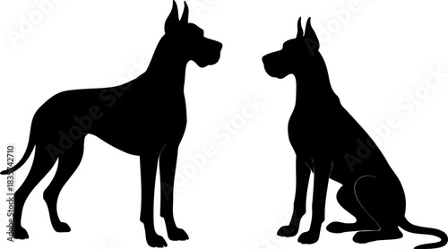 Black Great Dane dog silhouette vector illustration isolated