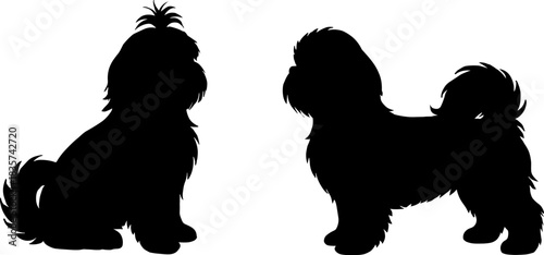 Black Shih Tzu dog silhouette vector illustration isolated