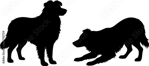 Black Australian Shepherd dog silhouette vector illustration isolated
