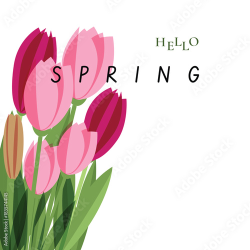 Hello spring background wight with flowers 