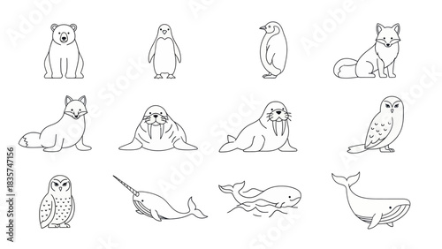 Charming collection of illustrated arctic animals showcasing diverse species and minimalist design