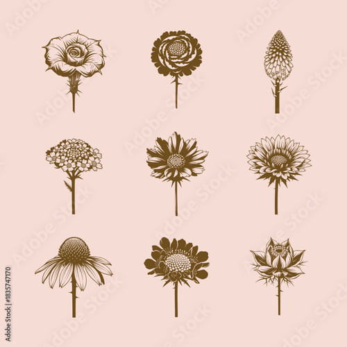 Vintage botanical illustration of assorted flowers on light pink background