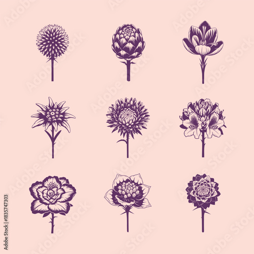 Hand drawn floral sketch collection botanical illustrations on a light background