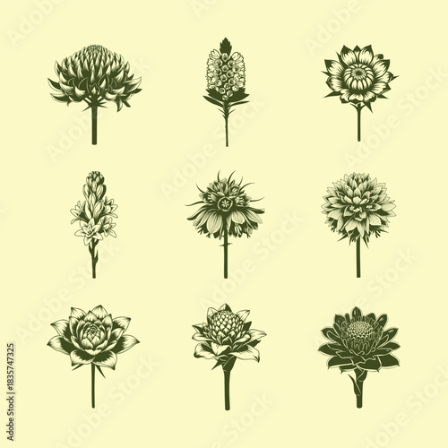 Botanical illustration of various flowers and plants in a grid pattern