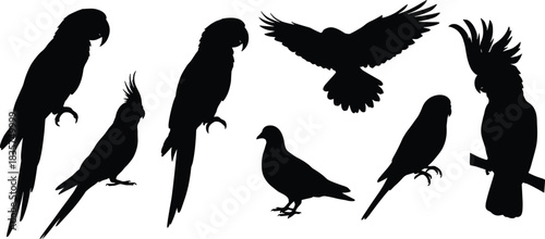 Bird silhouettes, black vector icons, perched and flying birds, parrot pigeon cockatoo, minimal design, cad drawing flat vector illustration